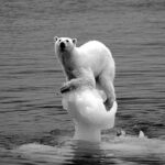 Legislators Examine Climate Initiatives