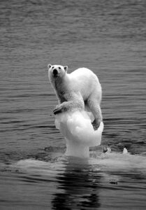 Legislators Examine Climate Initiatives